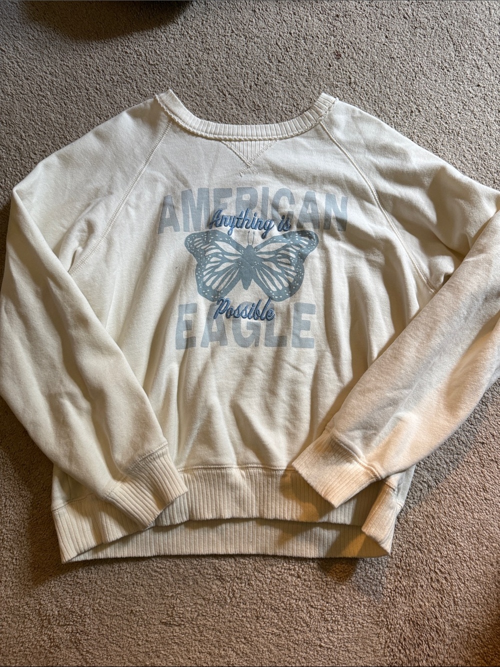 American Eagle Outfitters cream sweatshirt with light blue butterfly graphic